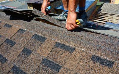 Roofing – Your South Carolina Roofing Needs: What To Consider