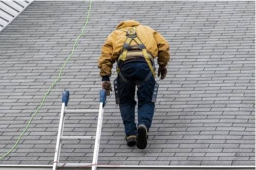 Doing Your Bit For The Planet? How A New Roof Could Help Make Your Home More Sustainable
