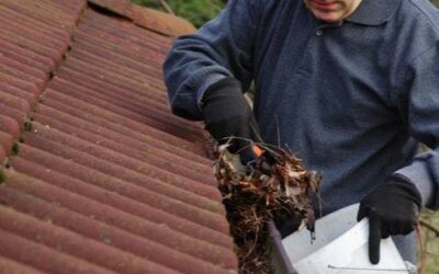 Spring Cleaning Your Roof: A Comprehensive Guide