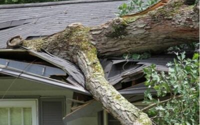 Steps To Take After A Storm Damages Your Roof