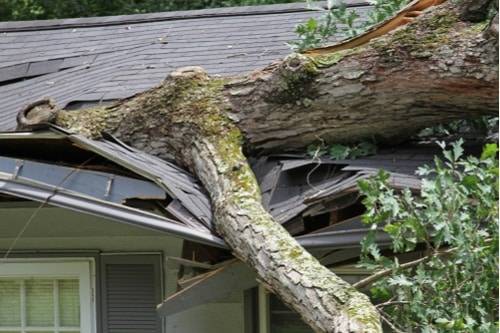 What Happens If A Storm Damages My Roof?
