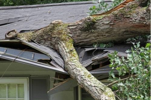 Steps To Take After A Storm Damages Your Roof