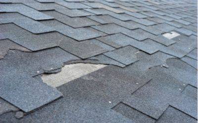 Why You Should Never Overlook Minor Damage To Your Roof