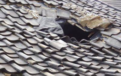 7 Things That Can Hurt Your Roof And Make It Susceptible To Damage