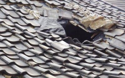 7 Things That Can Hurt Your Roof And Make It Susceptible To Damage