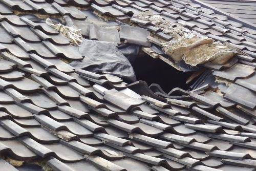 7 Things That Can Hurt Your Roof And Make It Susceptible To Damage