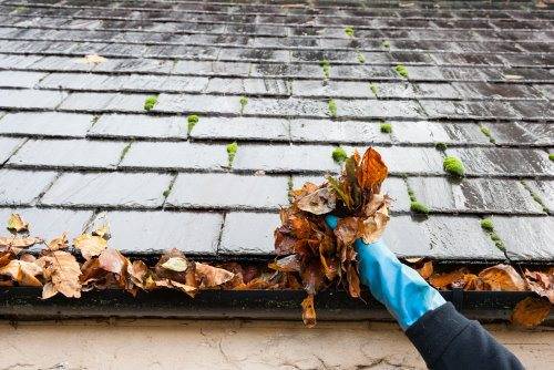 Cleaning,Gutter,Clogged,With,Leaves
