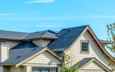 What Might The Roof Tell You About Your Potential New Property?