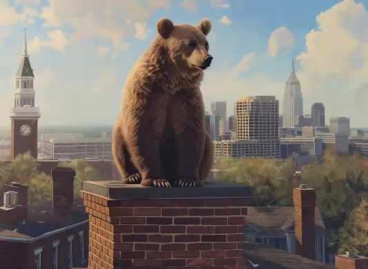 Big Bear Roofing