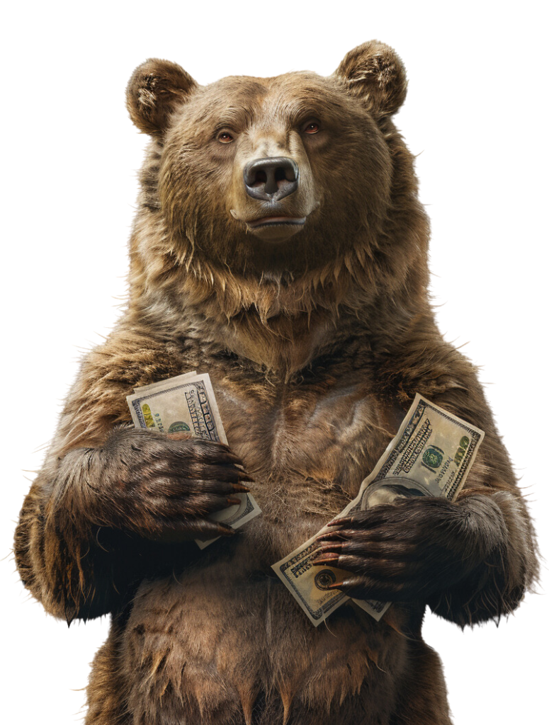 Financing