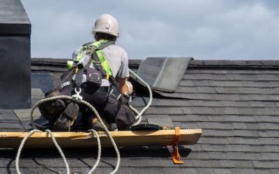 Roofing Trends for 2024: What’s In and What’s Out