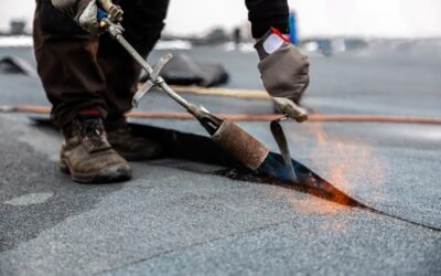 Seasonal Roofing Maintenance Tips for Homeowners
