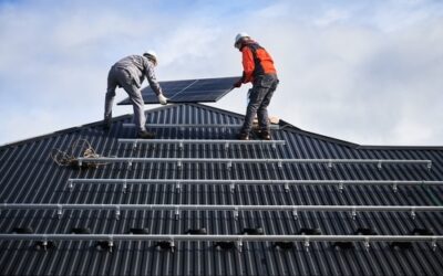 Green Roofing Solutions: Environmentally-Friendly Options for Eco-Conscious Homeowners