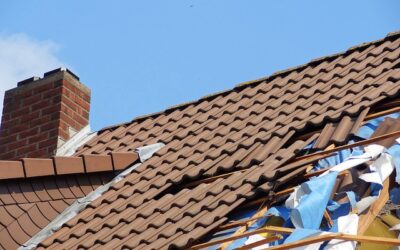 What To Do After A Storm to Protect Your Roof from Damage