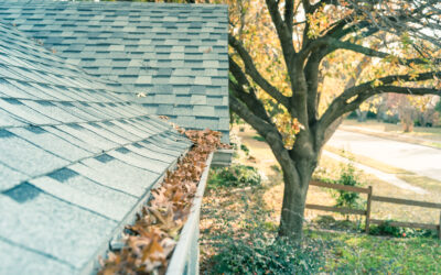 Top 3 Reasons to Clean Your Gutters Before Winter in Charleston, SC