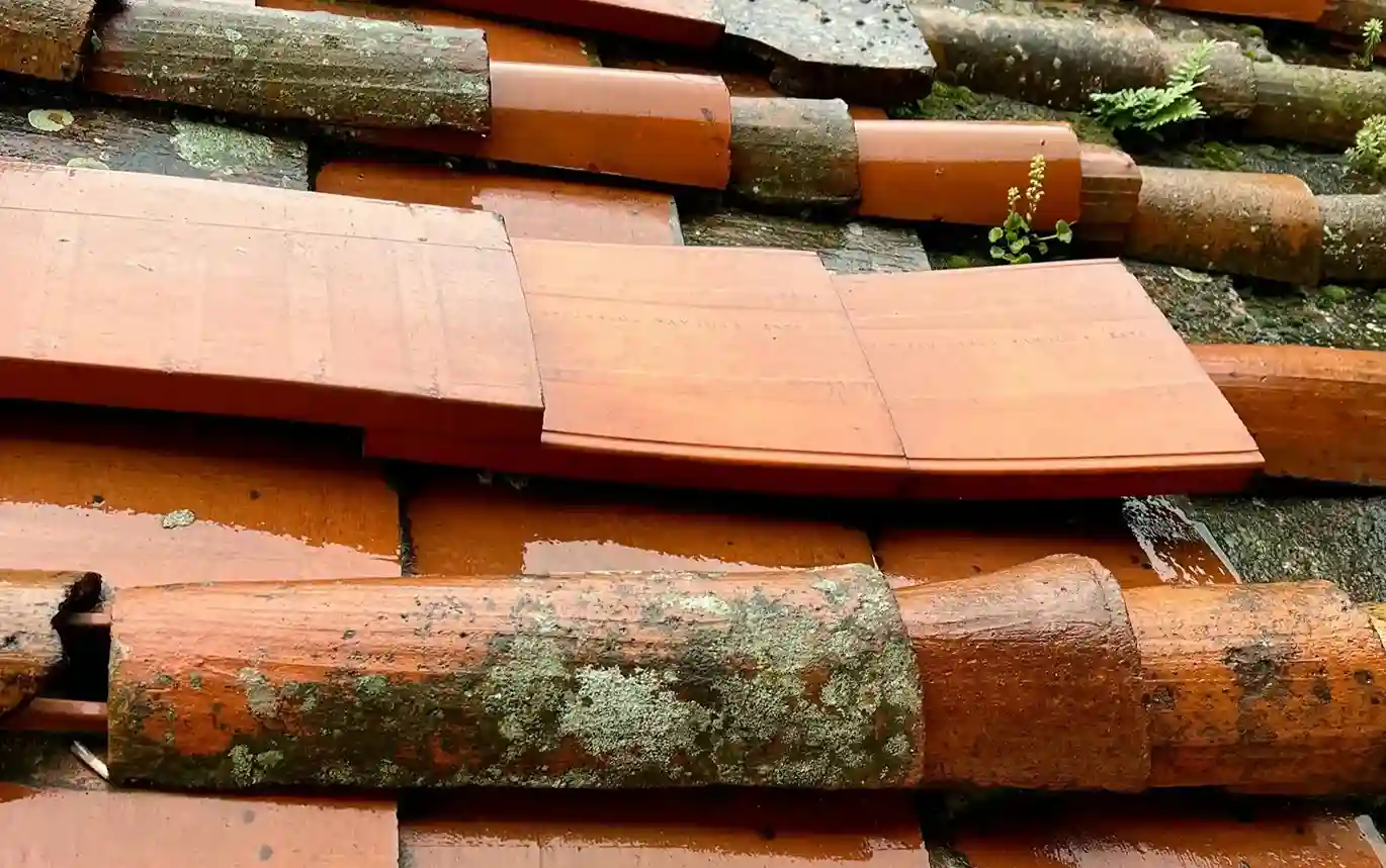 commercial roof replacement contractor