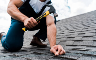 Raleigh Roofs Tree Overhang: Navigating New City Ordinances for Homeowners