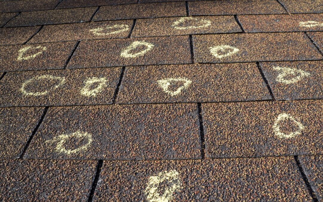 Asphalt shingles with chalk circles marking individual hail hits during a roof damage inspection