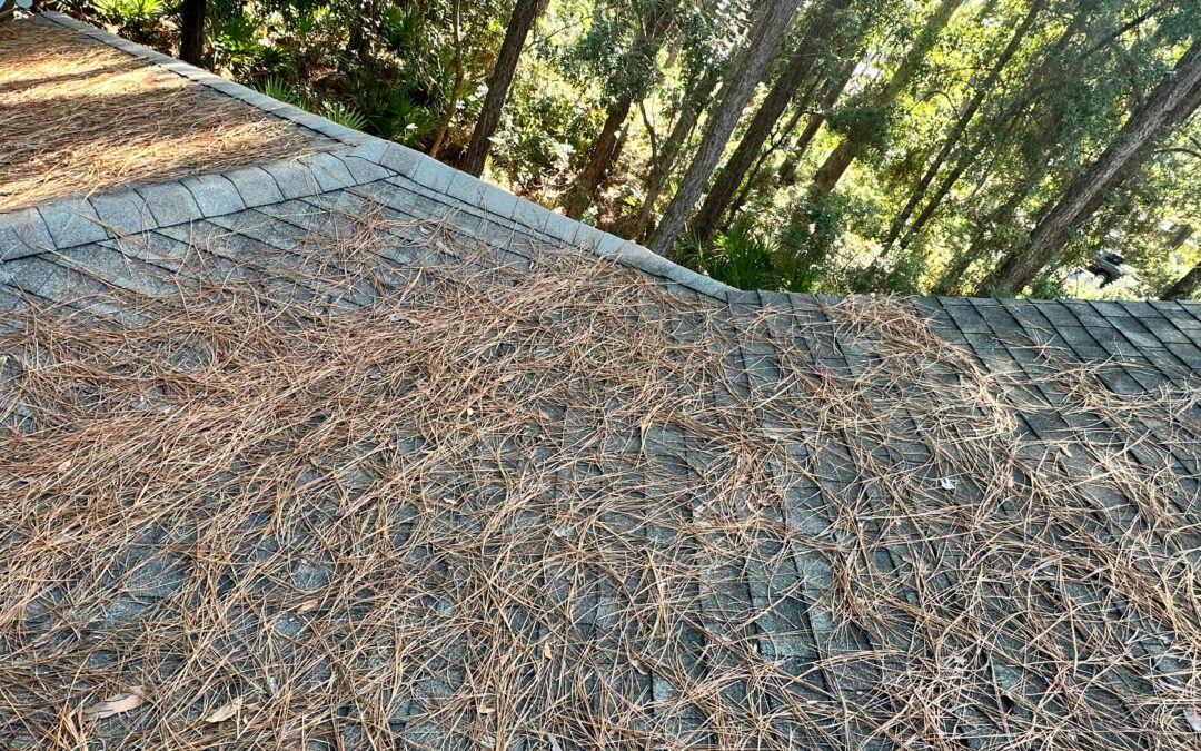 Pine straw building up on an asphalt shingle roof under pine trees