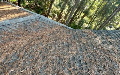 Seasonal Roof Maintenance in the Lowcountry: What to Check, Season by Season