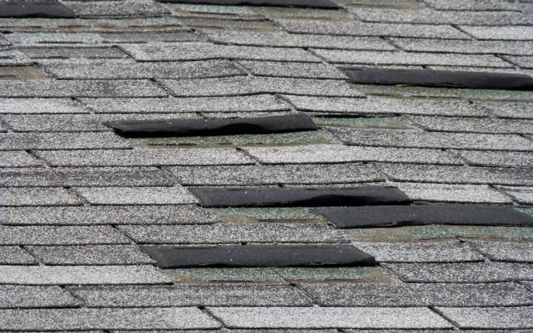 Old grey asphalt shingle roof with curling, lifted tabs